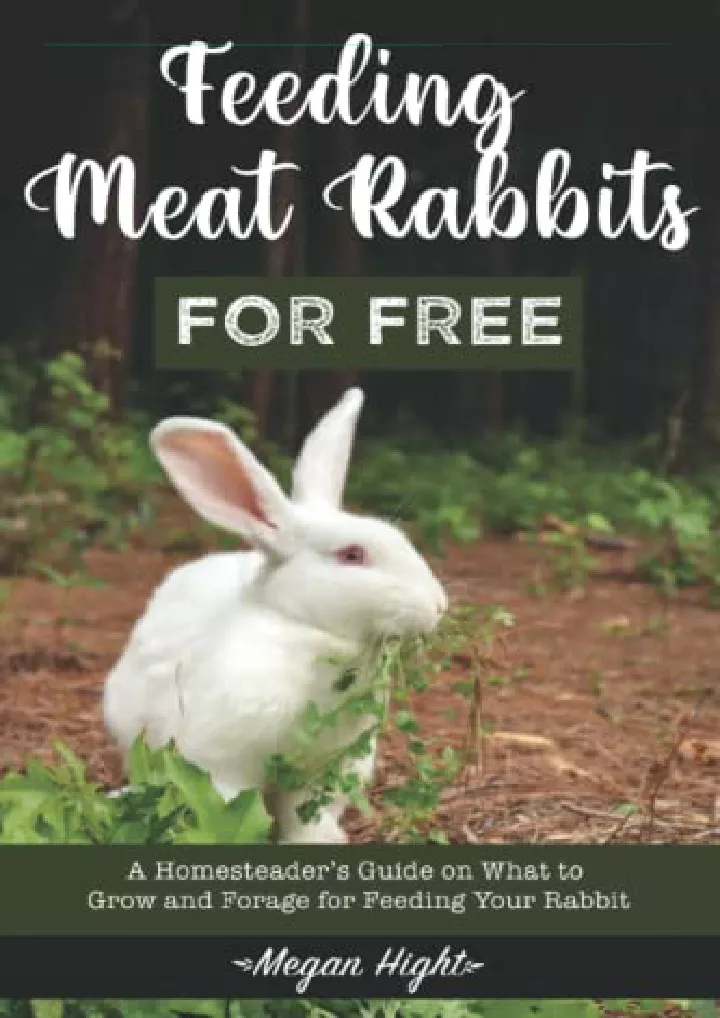 feeding meat rabbits for free a guide to growing