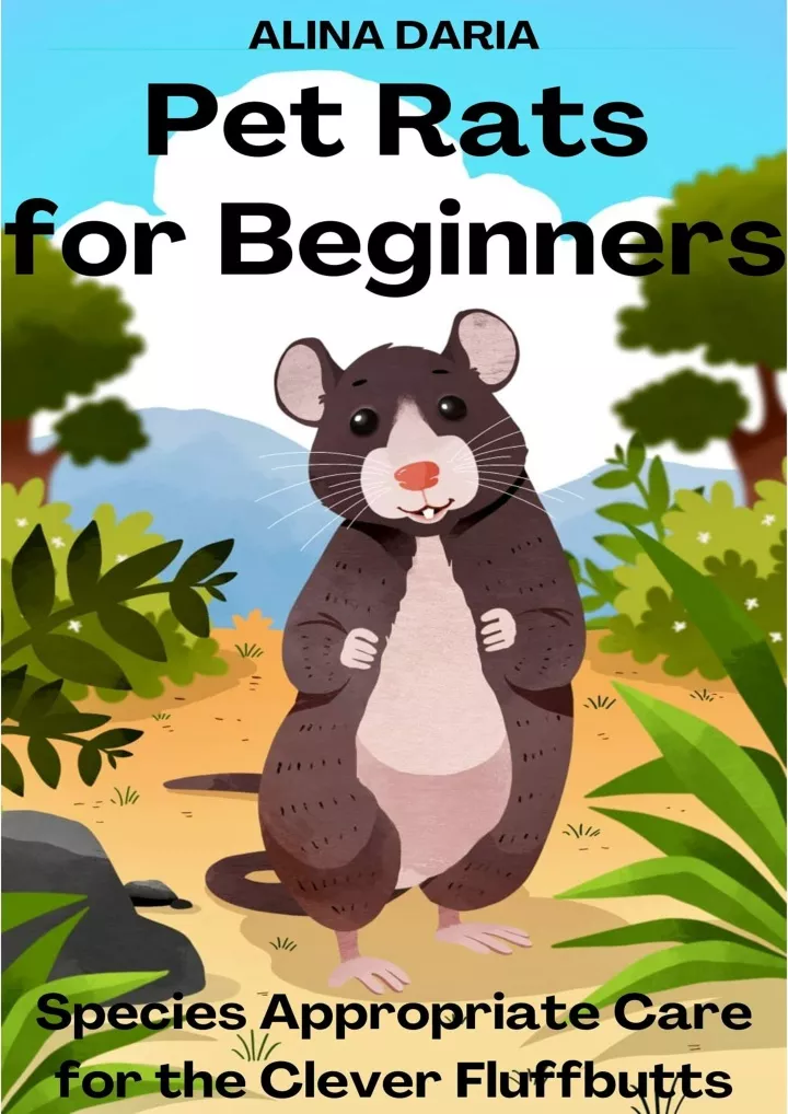 pet rats for beginners species appropriate care