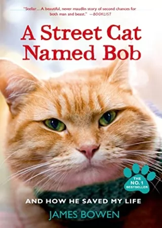 a street cat named bob and how he saved my life