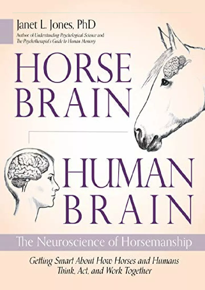 horse brain human brain the neuroscience