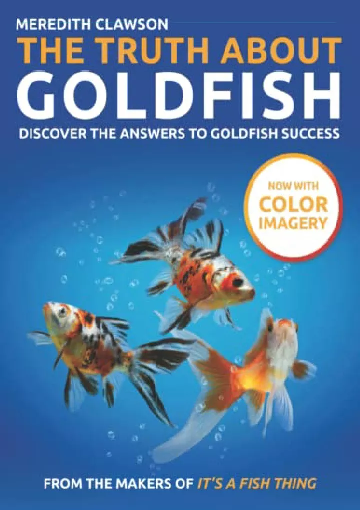 the truth about goldfish discover the answers