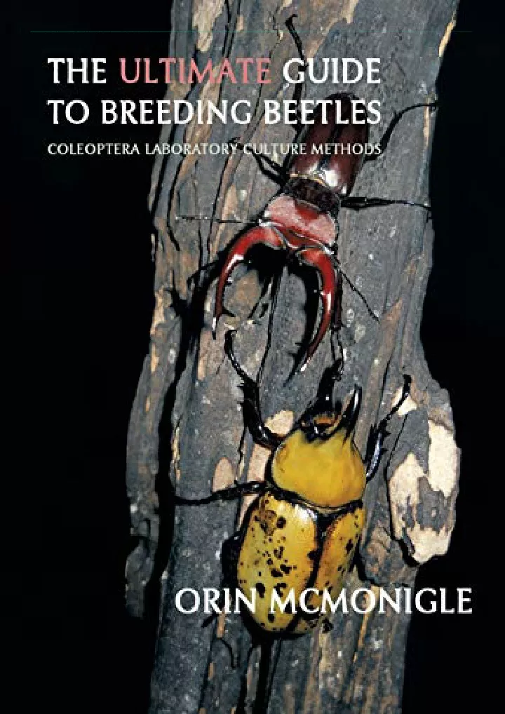 the ultimate guide to breeding beetles coleoptera