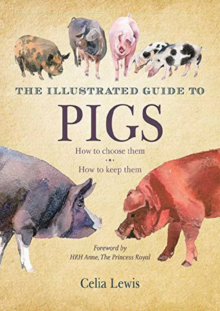 the illustrated guide to pigs how to choose them