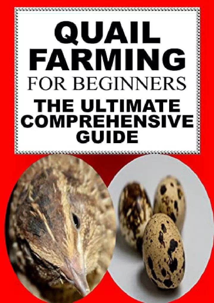 quail farming for beginners the ultimate