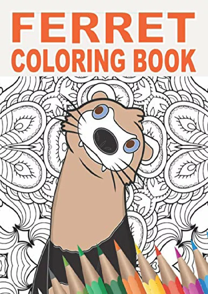 ferret coloring book 30 patterns to color