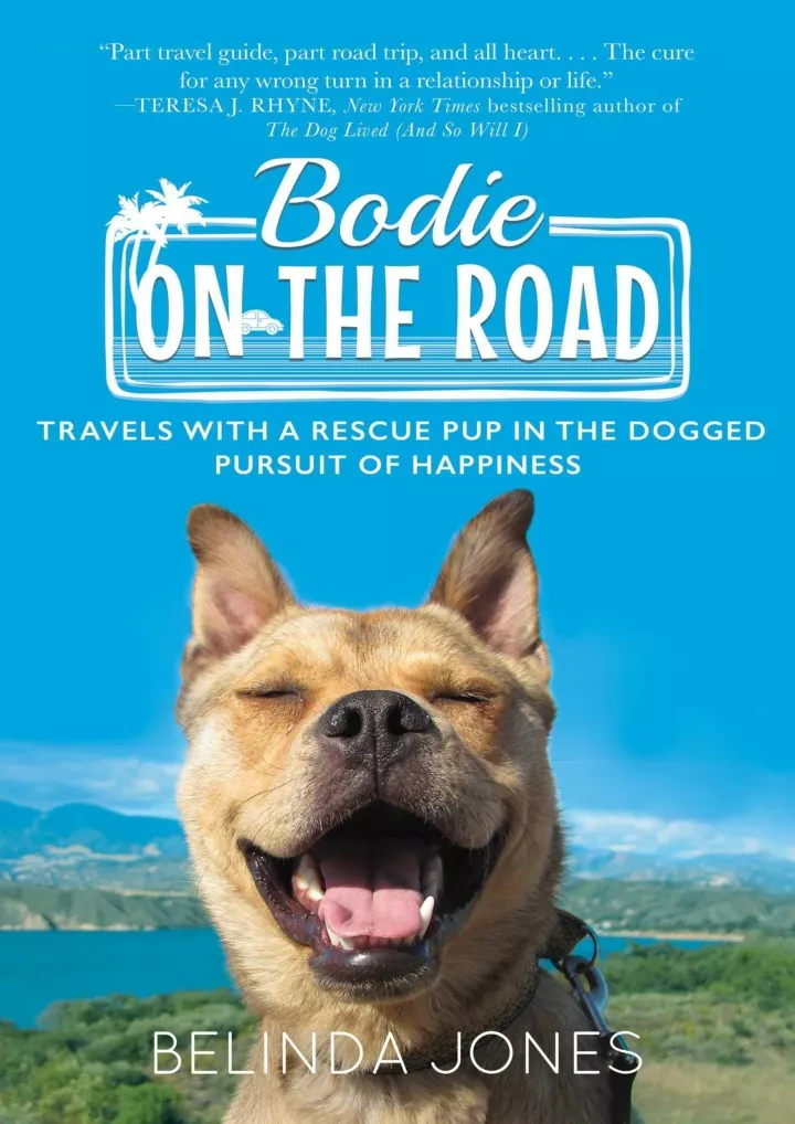 bodie on the road travels with a rescue