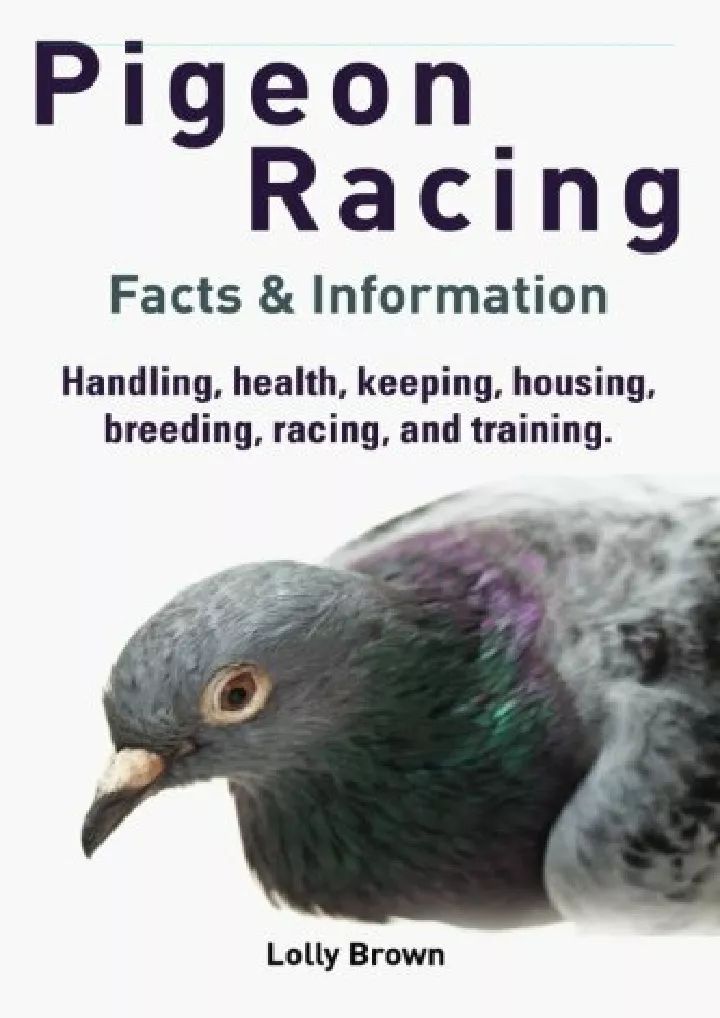 pigeon racing handling health keeping housing