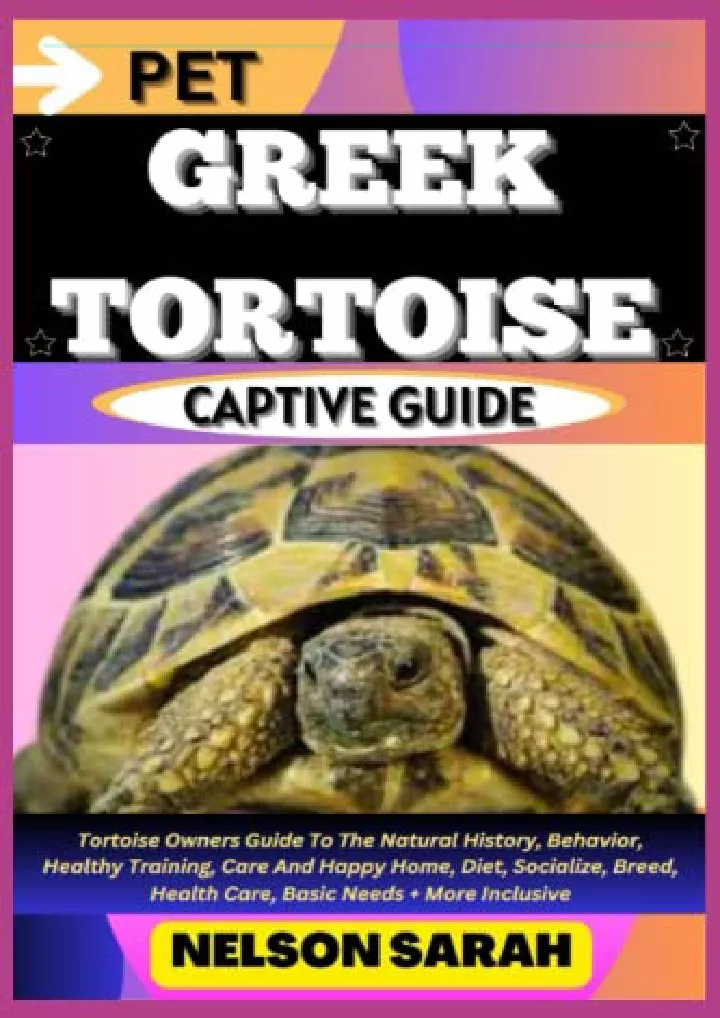 pet greek tortoise captive guide tortoise owners