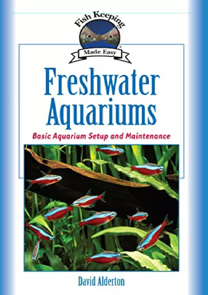 freshwater aquariums basic aquarium setup