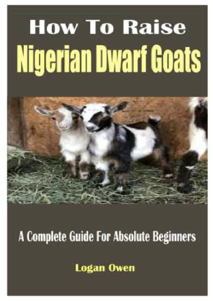 how to raise nigerian dwarf goats a complete