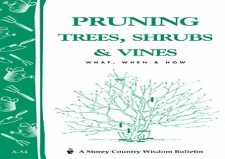 Download Pruning Trees, Shrubs & Vines: Storey's Country Wisdom Bulletin A-54 (S