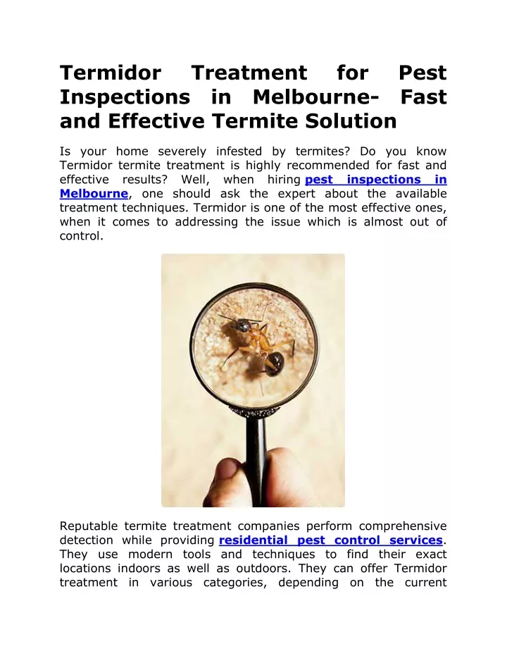 termidor inspections in melbourne fast