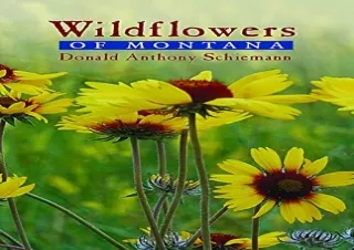 Download Wildflowers of Montana Kindle
