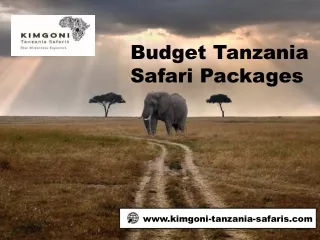 Budget Tanzania Safari Packages at kimgoni-tanzania-safaris.com