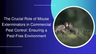 The Crucial Role of Mouse Exterminators in Commercial Pest Control Ensuring a Pest-Free Environment