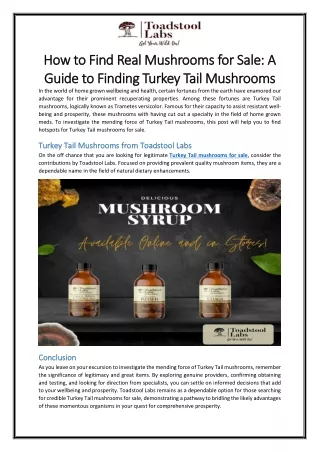 How to Find Real Mushrooms for Sale A Guide to Finding Turkey Tail Mushrooms