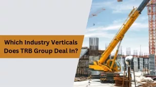 Which Industry Verticals Does TRB Group Deal In?