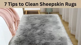 7 Tips to Clean Sheepskin Rugs
