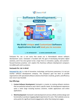 Best Software Development Company in Ahmedabad | Snetzweb