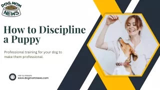 How to Discipline a Puppy