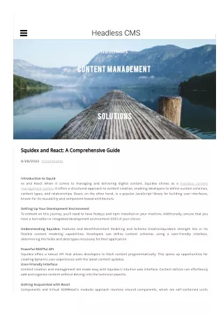 Squidex and React A Comprehensive Guide