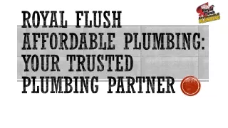 Royal Flush Affordable Plumbing: Your Trusted Plumbing Partner