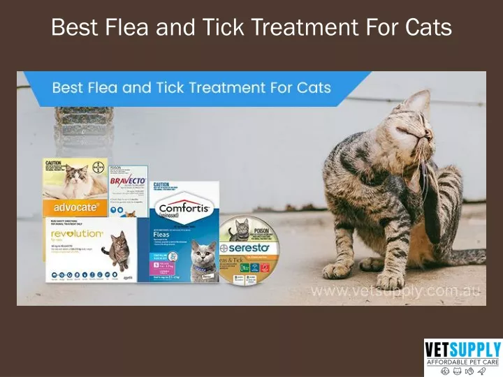 best flea and tick treatment for cats