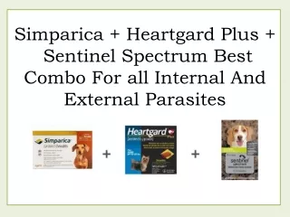 Simparica   Heartgard Plus  Sentinel Spectrum Best Combo For all Internal And External Parasites