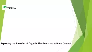 Exploring the Benefits of Organic Biostimulants in Plant Growth