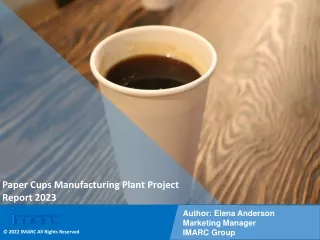 Paper Cups Manufacturing Plant Project Report 2023