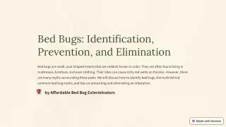 Bed Bugs Treatment Service