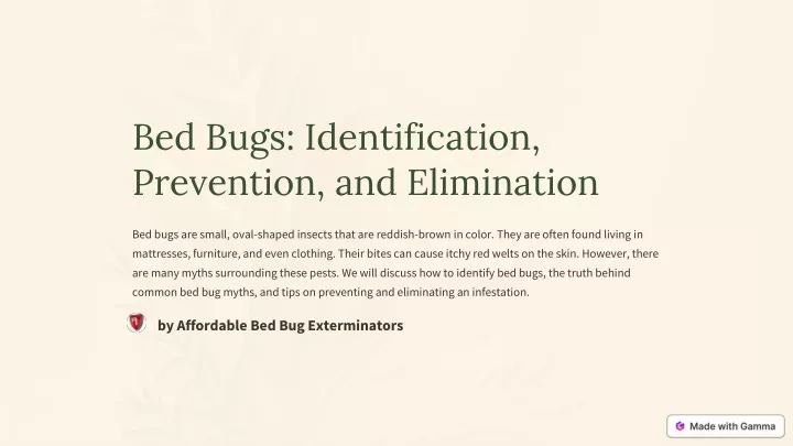 bed bugs identification prevention and elimination