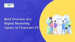 Brief Overview of a Digital Marketing Agency in Clearwater, FL