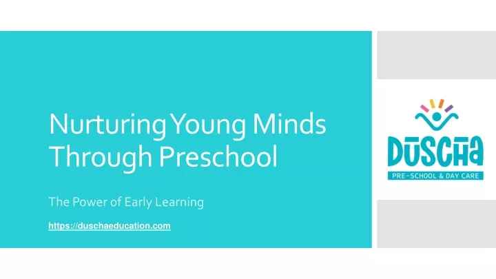 nurturing young minds through preschool