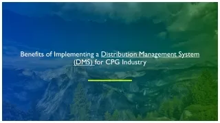 Benefits of Implementing a Distribution Management System (DMS) for CPG Industry