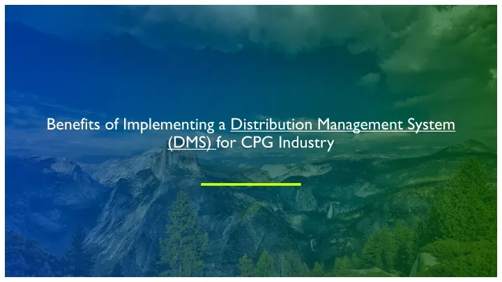 benefits of implementing a distribution management system dms for cpg industry