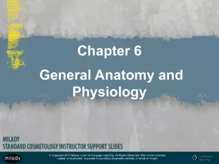 chapter 6