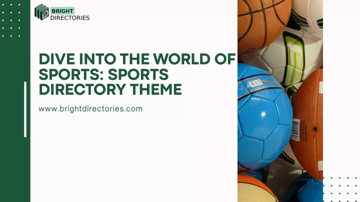dive into the world of sports sports directory