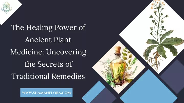 the healing power of ancient plant medicine