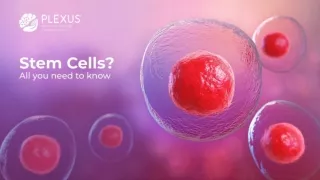 Stem Cells_ All you need to know
