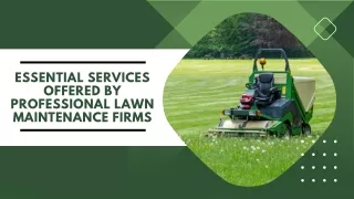 Essential Services Offered by Professional Lawn Maintenance Firms