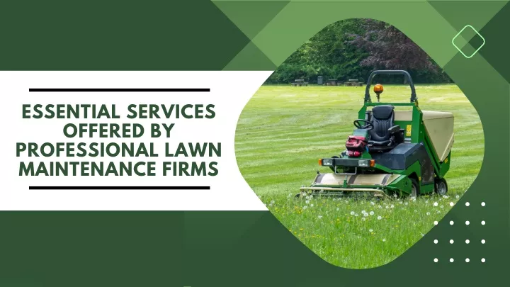 essential services offered by professional lawn