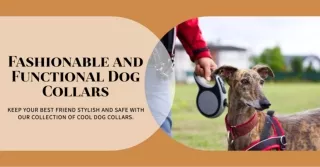 Cool Dog Collars: Fashion and Function for Your Best Friend