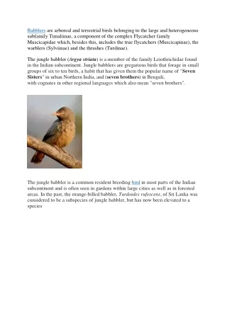 babblers are arboreal and terrestrial birds