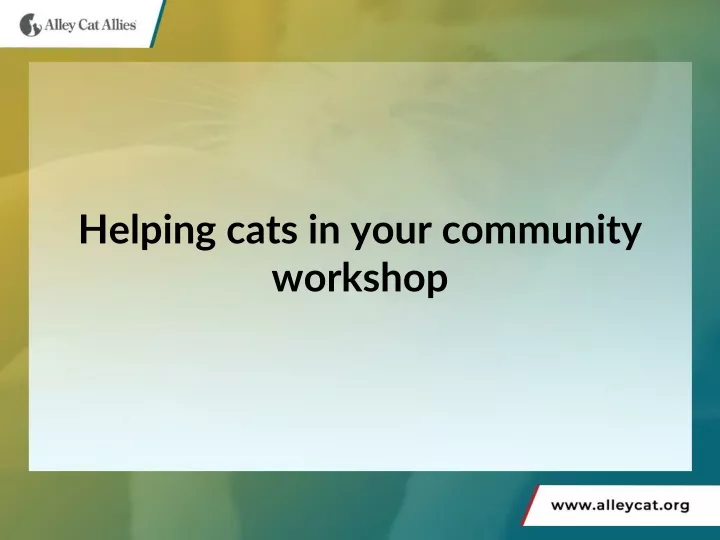 helping cats in your community workshop