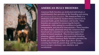 American bully breeders.