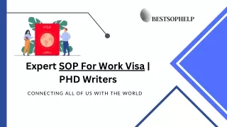 Expert SOP For Work Visa  PHD Writers