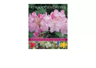 Ebook download Rhododendrons An illustrated guide to varieties cultivation and c