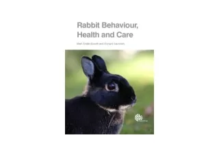 Download Rabbit Behaviour Health and Care full