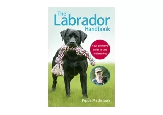 Download PDF The Labrador Handbook Your Definitive Guide to Care and Training fu